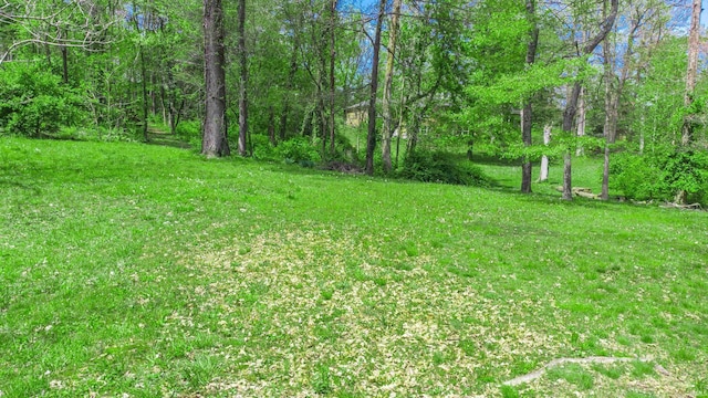9727 Petersburg Rd, Evansville, IN 47725