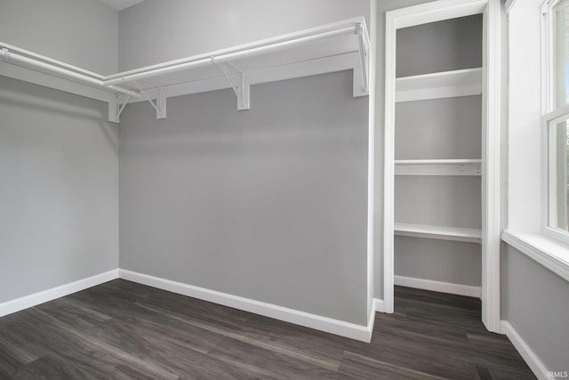 10974 County Road 10, Middlebury, IN 46540 - spacious closet with dark wood finished floors