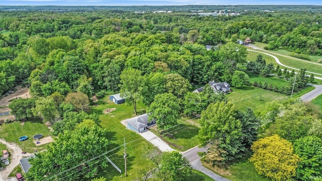 10974 County Road 10, Middlebury, IN 46540 - aerial view of property's location with a forest