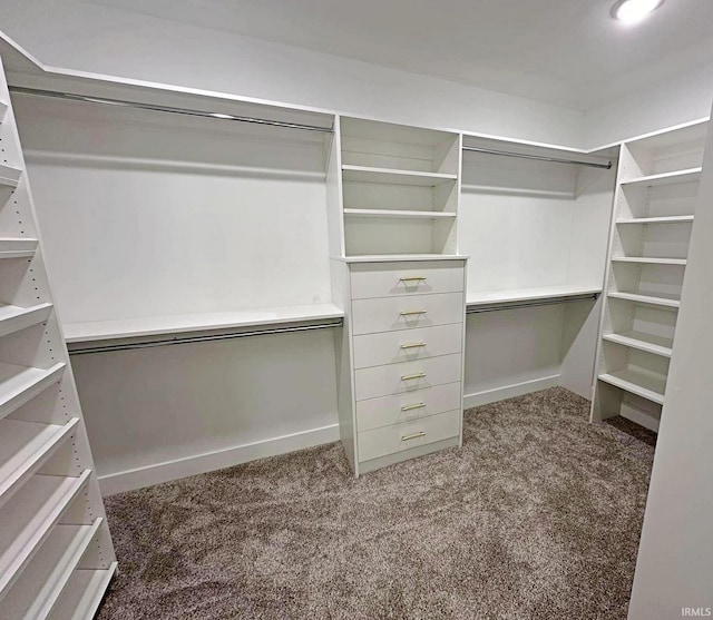 1412 E National Hwy, Washington, IN 47501 - spacious closet with carpet