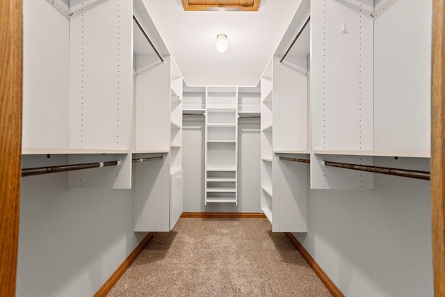 1395 E 75 N, Lagrange, IN 46761 - spacious closet with carpet flooring