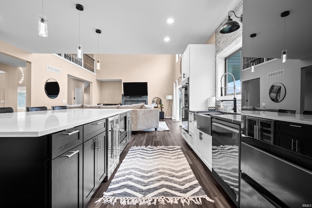 30474 Jaxon Dr, Elkhart, IN 46517 - kitchen featuring a sink, dark wood-style floors, white cabinetry, dark cabinets, and a towering ceiling
