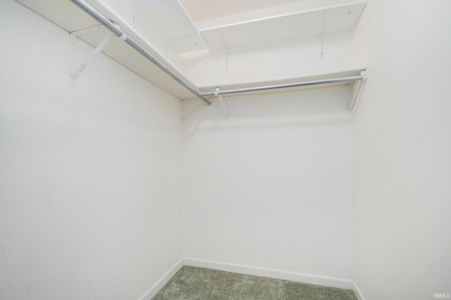 5843 Durham Ct, South Bend, IN 46614 - walk in closet featuring carpet floors