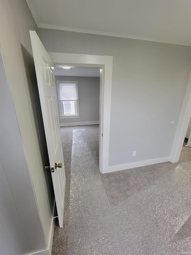 826 E Jefferson Blvd, Fort Wayne, IN 46803 - corridor with carpet flooring, ornamental molding, and baseboards