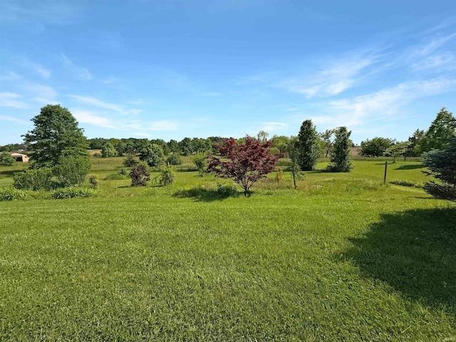 6359 E County Road 1900 N, Dale, IN 47523 - view of green lawn