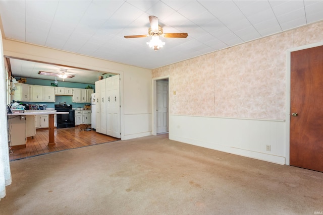 5668 E 500 S, Lynn, IN 47355 - unfurnished living room featuring ceiling fan, carpet flooring, and wainscoting