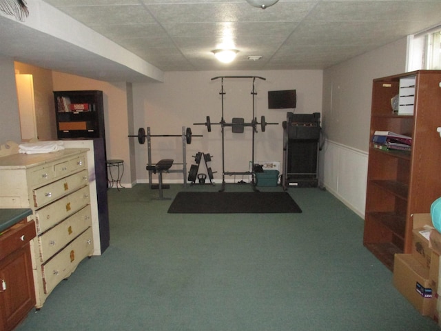 22715 Fair Oaks Ct, Elkhart, IN 46514 - exercise room featuring carpet flooring and wainscoting