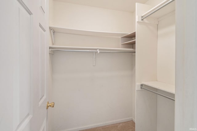 3260 E Sherman St, Columbia City, IN 46725 - spacious closet featuring light carpet