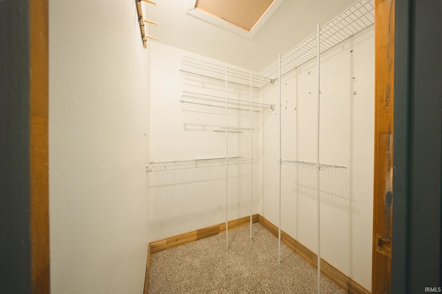 9713 Auburn Rd, Fort Wayne, IN 46825 - walk in closet featuring carpet flooring