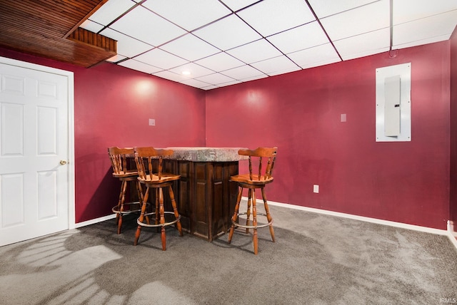 724 E Mishawaka Ave, Mishawaka, IN 46545 - indoor dry bar featuring electric panel, carpet floors, a paneled ceiling, and baseboards