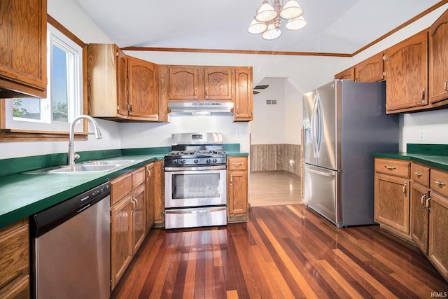 724 E Mishawaka Ave, Mishawaka, IN 46545 - kitchen featuring appliances with stainless steel finishes, a sink, lofted ceiling, under cabinet range hood, and dark wood-style floors
