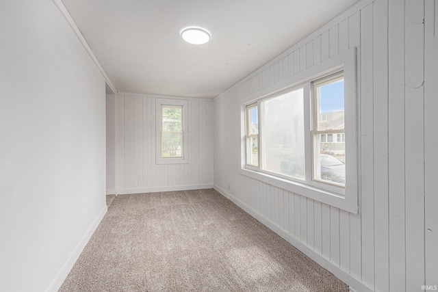 420 W 10th St, Mishawaka, IN 46544 - spare room with carpet floors, wood walls, and baseboards