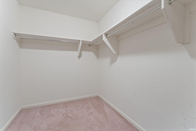 32840 Morning Dove Ct, New Carlisle, IN 46552 - walk in closet featuring light colored carpet