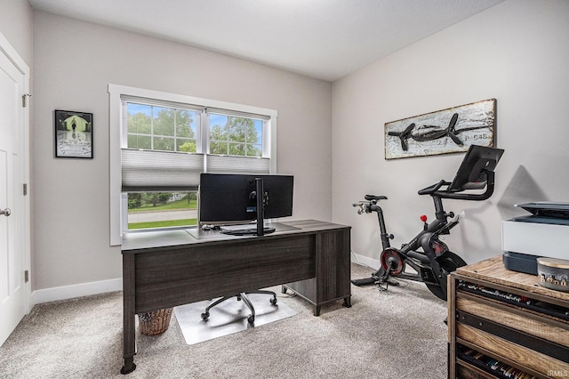 53760 Terre Verde Hills Ct, South Bend, IN 46628 - carpeted home office with baseboards