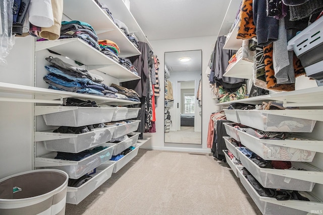 51695 Fox Pointe Ln, Granger, IN 46530 - spacious closet with carpet flooring