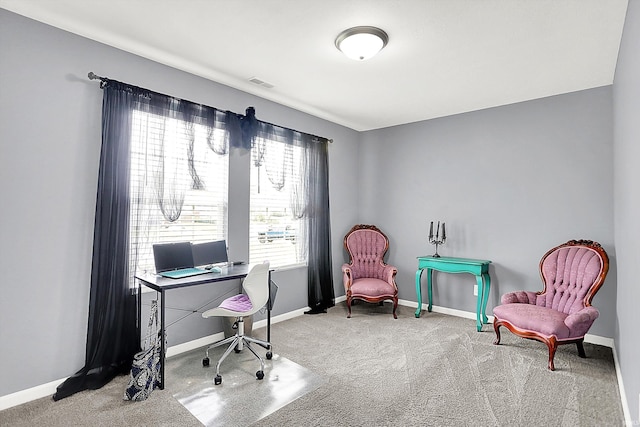 7228 W Mustang Dr, Ellettsville, IN 47429 - office featuring carpet and baseboards