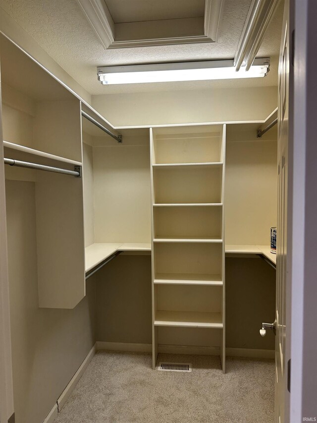 7019 Tree Top Trl, Fort Wayne, IN 46845 - walk in closet featuring light colored carpet