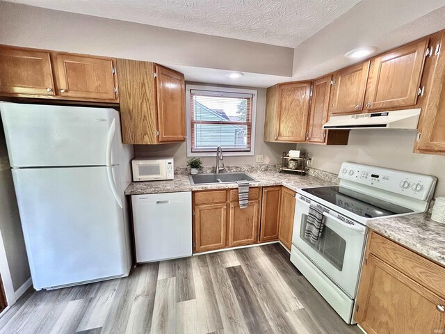 305 N Maude Dr, Rossville, IN 46065 - kitchen with white appliances, under cabinet range hood, a sink, wood finished floors, and a textured ceiling