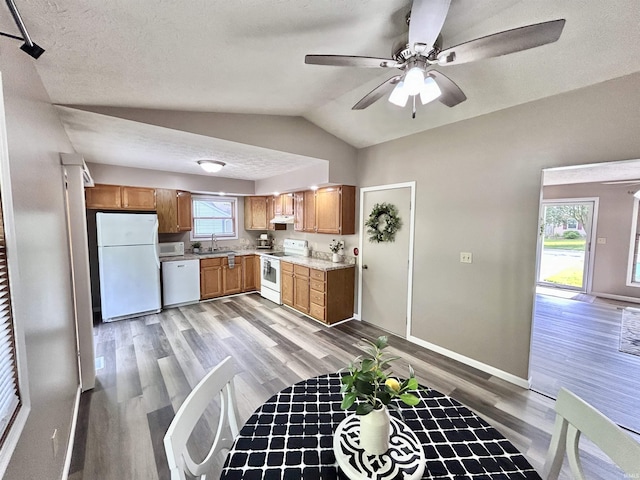 305 N Maude Dr, Rossville, IN 46065 - kitchen featuring white appliances, a sink, light wood-type flooring, lofted ceiling, and light countertops