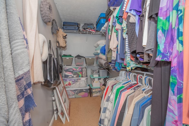 12908 Mattison Ct, Evansville, IN 47725 - walk in closet featuring carpet flooring