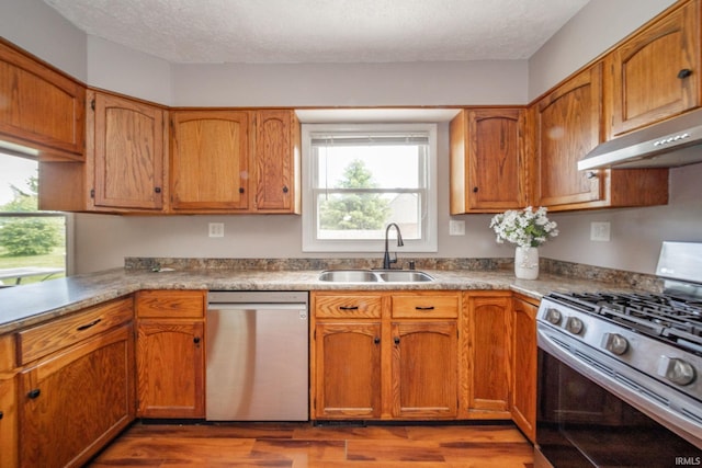 6863 W Jennifer Ct, Greenfield, IN 46140 - kitchen featuring appliances with stainless steel finishes, a sink, under cabinet range hood, wood finished floors, and healthy amount of natural light