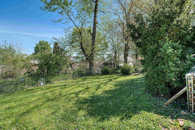 517 W Locust St, Boonville, IN 47601 - view of yard
