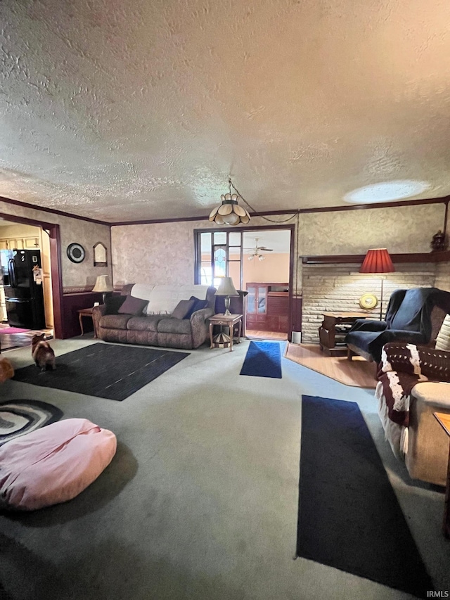 12537 E 340 S, Greentown, IN 46936 - carpeted living area with a textured ceiling