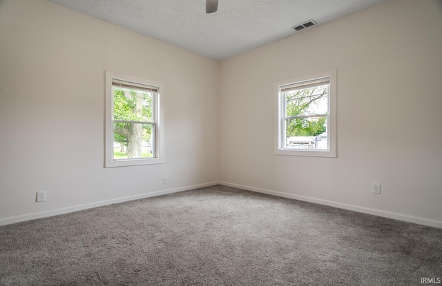 355 Blinn Ave, Frankfort, IN 46041 - unfurnished room with healthy amount of natural light, baseboards, carpet, a textured ceiling, and ceiling fan