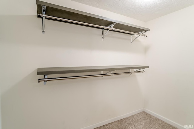 355 Blinn Ave, Frankfort, IN 46041 - walk in closet featuring light carpet
