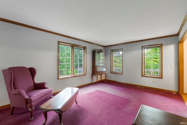 2711 Spring Creek Dr, Fort Wayne, IN 46808 - sitting room featuring ornamental molding, carpet flooring, baseboards, and a textured ceiling