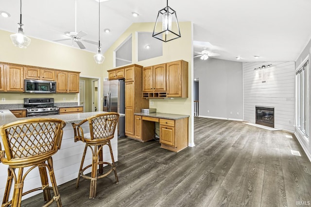 1224 Foxglove Ct, Mishawaka, IN 46545 - kitchen with appliances with stainless steel finishes, ceiling fan, high vaulted ceiling, dark wood-style flooring, and decorative light fixtures