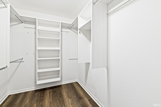 1224 Foxglove Ct, Mishawaka, IN 46545 - spacious closet with dark wood-style flooring