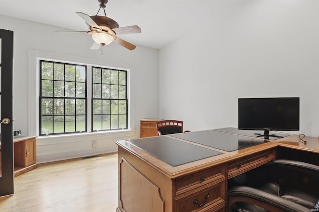 office space featuring light wood finished floors and a ceiling fan