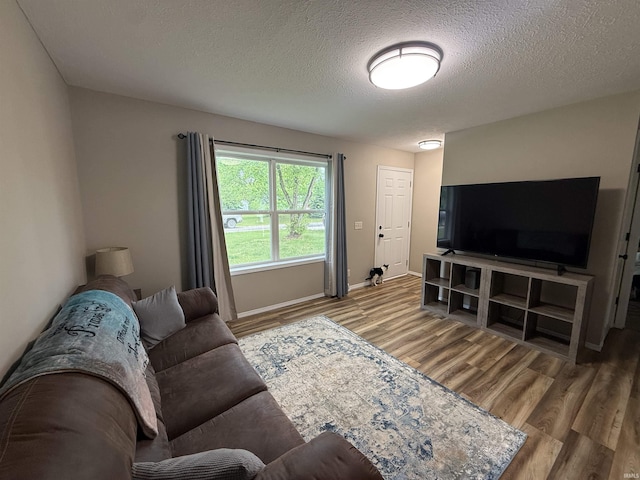 37 Ems D22A Ln, Syracuse, IN 46567 - living area with wood finished floors, a textured ceiling, and baseboards