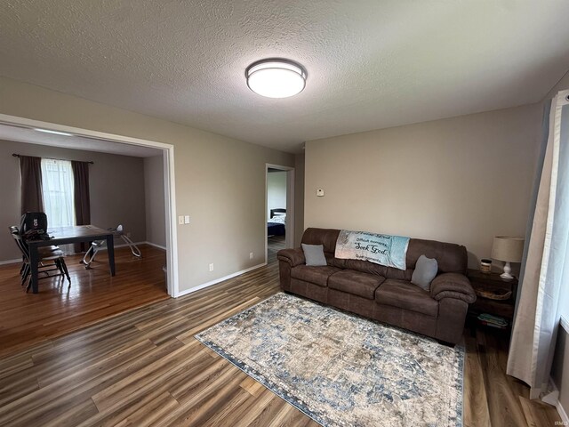 37 Ems D22A Ln, Syracuse, IN 46567 - living area featuring dark wood-type flooring, a textured ceiling, and baseboards