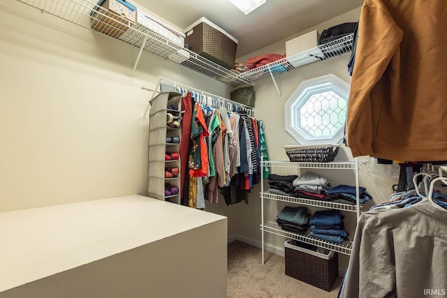 3308 S Daniel Ct, Bloomington, IN 47401 - walk in closet with carpet flooring