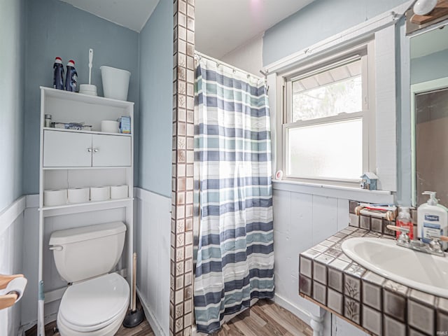 210 S E St, Oakland City, IN 47633 - full bathroom with wood finished floors, toilet, vanity, and a shower with curtain