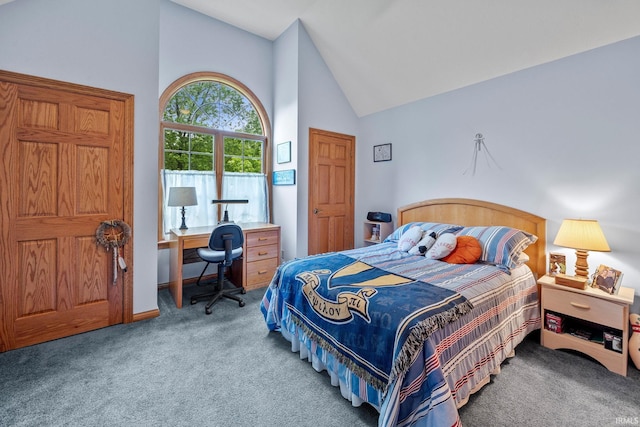 4705 Haven Ct, West Lafayette, IN 47906 - carpeted bedroom with high vaulted ceiling and a desk