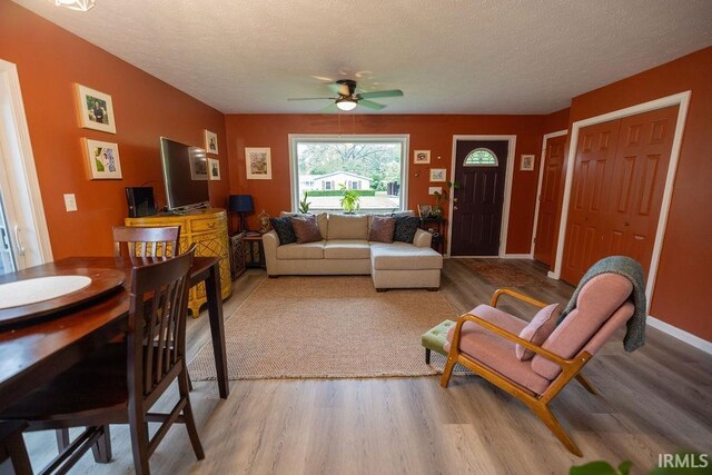 509 N Mckenzie St, Muncie, IN 47304 - living room with ceiling fan, wood finished floors, and a textured ceiling