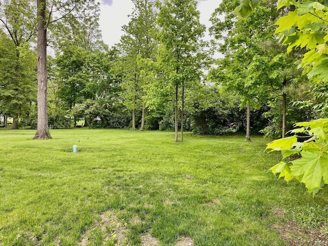 4605 Merriam Park Dr, Fort Wayne, IN 46816 - view of green lawn