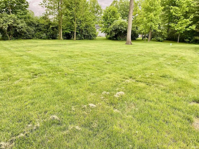 4605 Merriam Park Dr, Fort Wayne, IN 46816 - view of green lawn