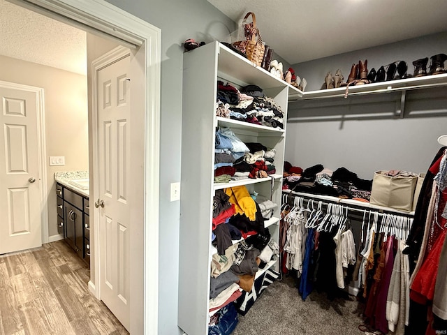 310 Main St, Lagro, IN 46941 - walk in closet with light wood-type flooring