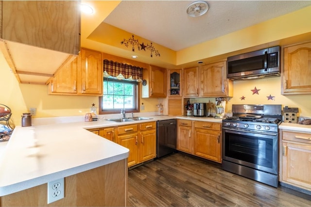 705 Pine Run, Angola, IN 46703 - kitchen with appliances with stainless steel finishes, a sink, light countertops, and dark wood finished floors