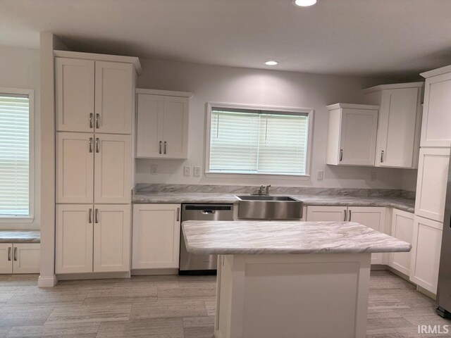 844 Ben Franklin St, Cloverdale, IN 46120 - kitchen featuring stainless steel dishwasher, a sink, recessed lighting, healthy amount of natural light, and white cabinets