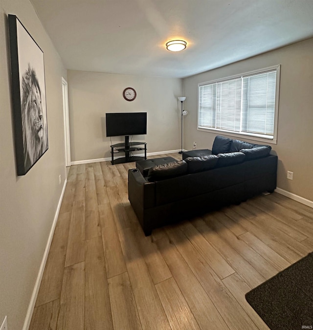 402 Sheridan St, Loogootee, IN 47553 - living room with light wood-type flooring and baseboards