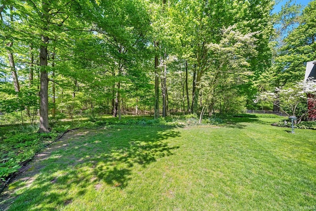 3619 Sullivan Ct, South Bend, IN 46614 - view of grassy yard