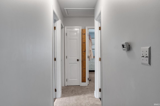 3599 Canterbury Dr, Lafayette, IN 47909 - corridor with carpet