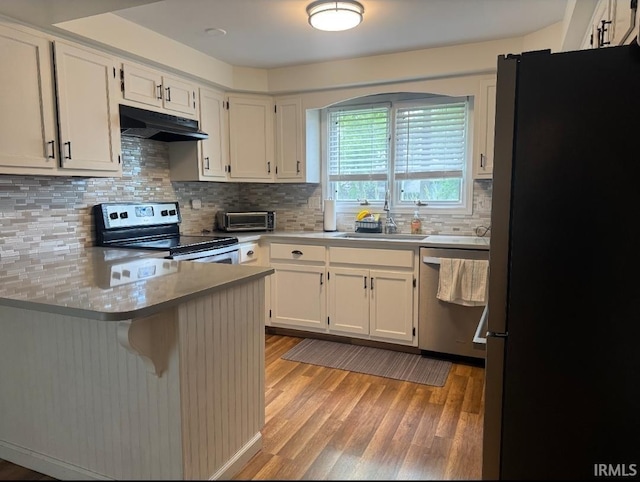 10704 Longwood Dr, Fort Wayne, IN 46845 - kitchen featuring stainless steel appliances, under cabinet range hood, a peninsula, a sink, and light wood finished floors