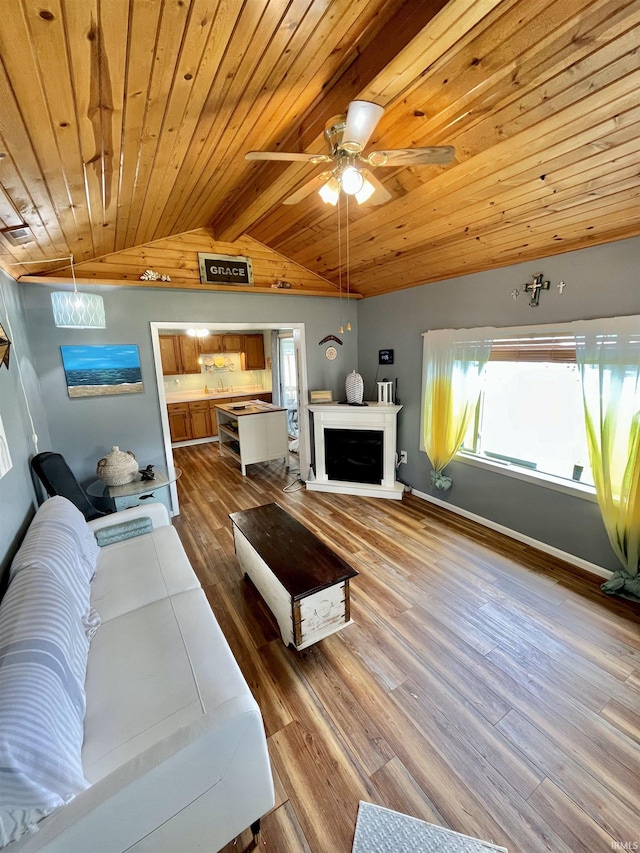 34 Ems B59 Ln, Warsaw, IN 46582 - living area with wooden ceiling, healthy amount of natural light, wood finished floors, a ceiling fan, and a fireplace with raised hearth