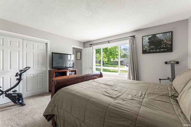 8809 Newberry Dr, Fort Wayne, IN 46825 - bedroom with carpet floors, a textured ceiling, and a closet